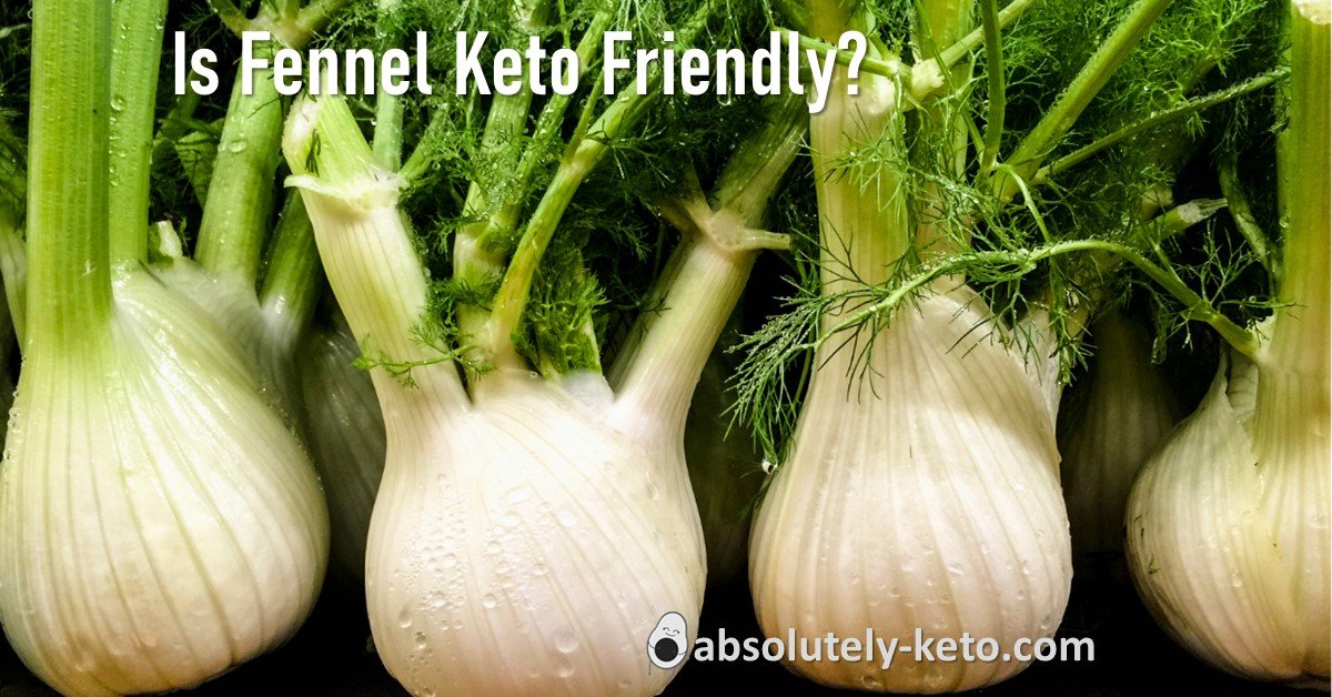 Is Fennel Keto Friendly in white text with fennel bulbs in the background