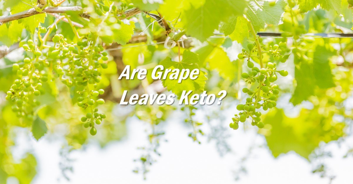 are-grape-leaves-keto-plus-our-top-tip-absolutely-keto