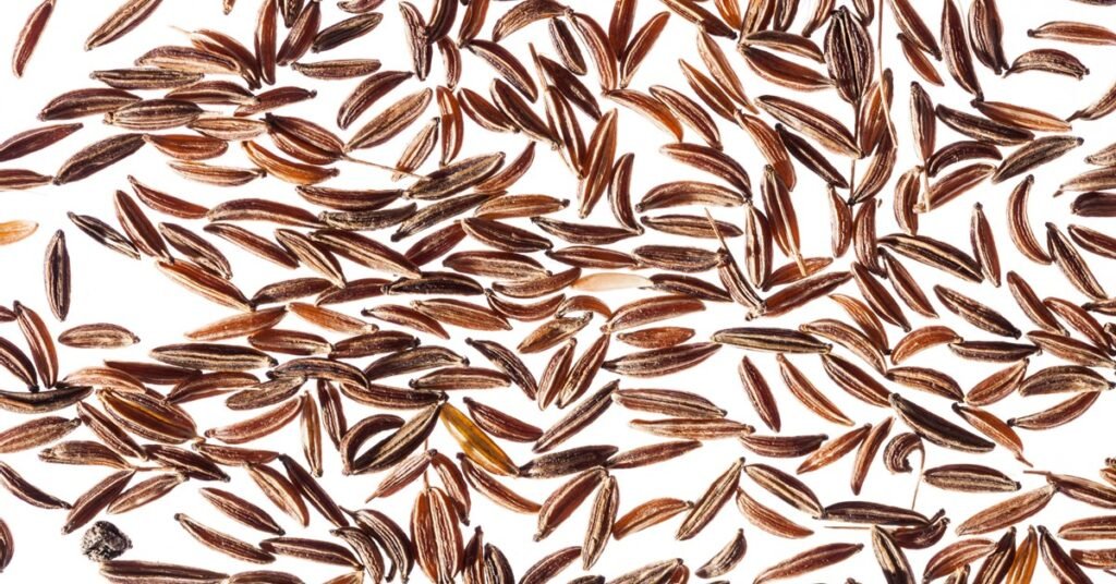 Are Caraway Seeds keto - Can I eat Caraway Seeds on Keto