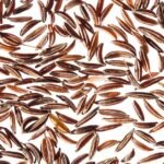 Are Caraway Seeds keto - Can I eat Caraway Seeds on Keto