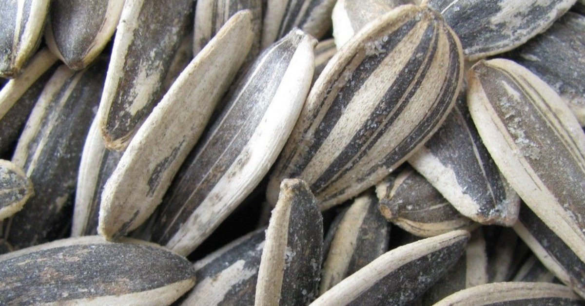 Are Sunflower Seeds Keto? Absolutely Keto